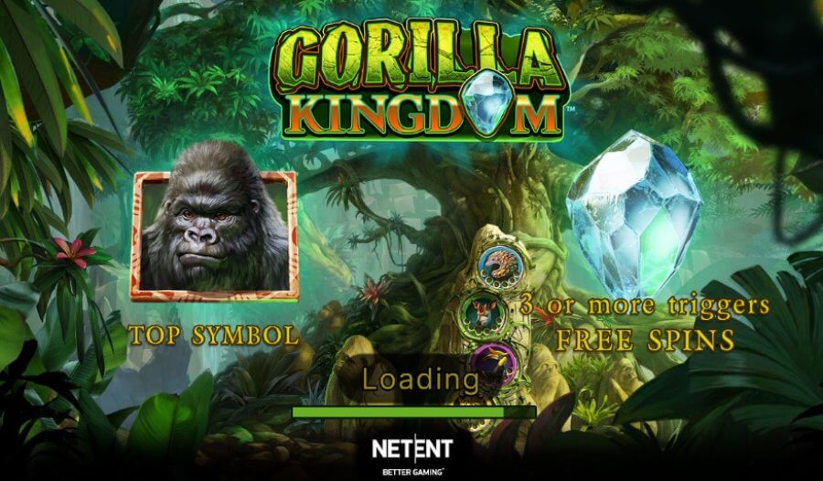 Gorilla kingdom