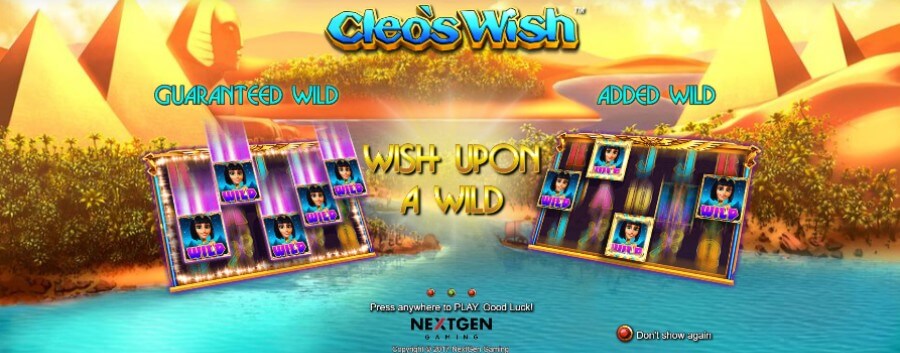 Cleo's Wish kokemuksia
