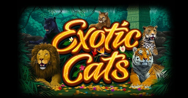 exotic cats kolikkopeli 