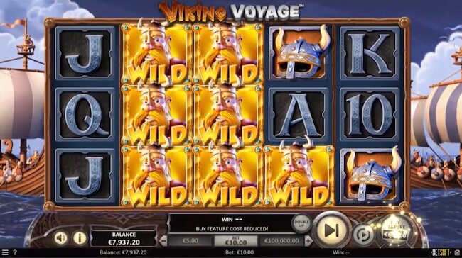 Viking Voyage wildeja 