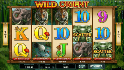 Wild Orient